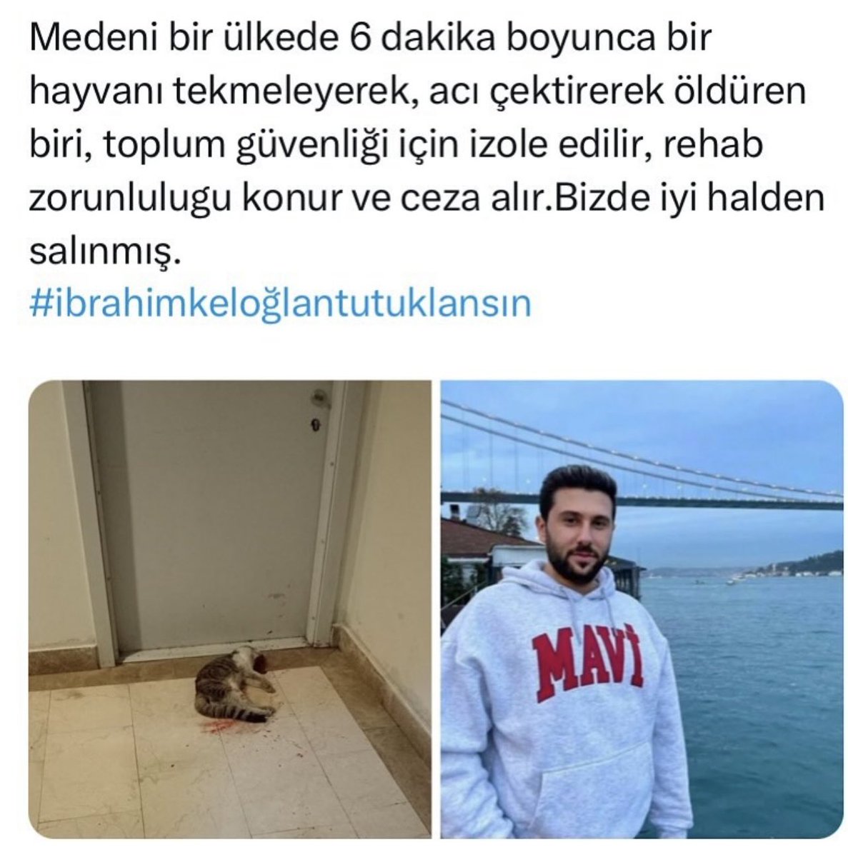 SedaTanrseverr's tweet photo. Senden ve sana iyi hal veren herkesten utanıyorum!!!!! https://t.co/9Vju6G9xhy