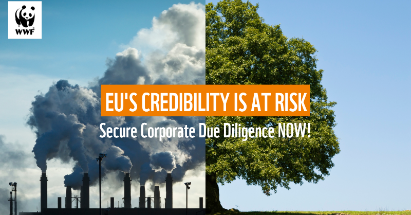WWFEU's tweet photo. The EU Corporate Sustainability Due Diligence Directive is essential for business, people &amp; planet. Will the EU prioritise short-term political gains of a few or the long-term resilience of our economy &amp; ecosystems? 🌍

❗Secure #CSDDD now!

Read more: https://t.co/4xblP1wXfr