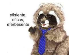 jodido ruco que le sigue diciendo DF a la CDMX tweet media