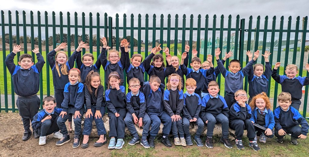 Sandra Hynes tweet media