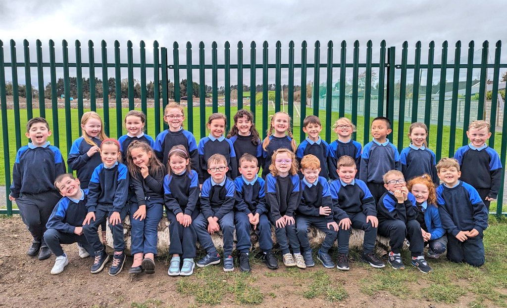 Sandra Hynes tweet media