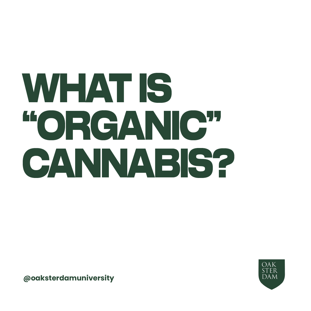 What is “organic” cannabis? The use of the term “organic” to sell agricultural products is strictly regulated. Products sold internationally can receive the label if they meet local organic labeling requirements and conditions set by international trade agreements. Cannabis is