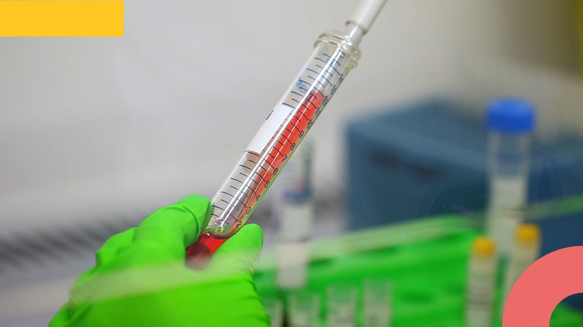 CHUdeNice's tweet photo. #Recrutement
Le #CHUdeNice #recrute un(e) technicien(ne) de #laboratoire pour son service de #Lenval.
🔬 Laboratoire #polyvalent, ouvert 24h/24 et 7j/7
🔗 Informations et candidatures: https://t.co/5aWNzunGlT
#techniciendelaboratoire #biologiemédicale https://t.co/ASZePu0Bjd