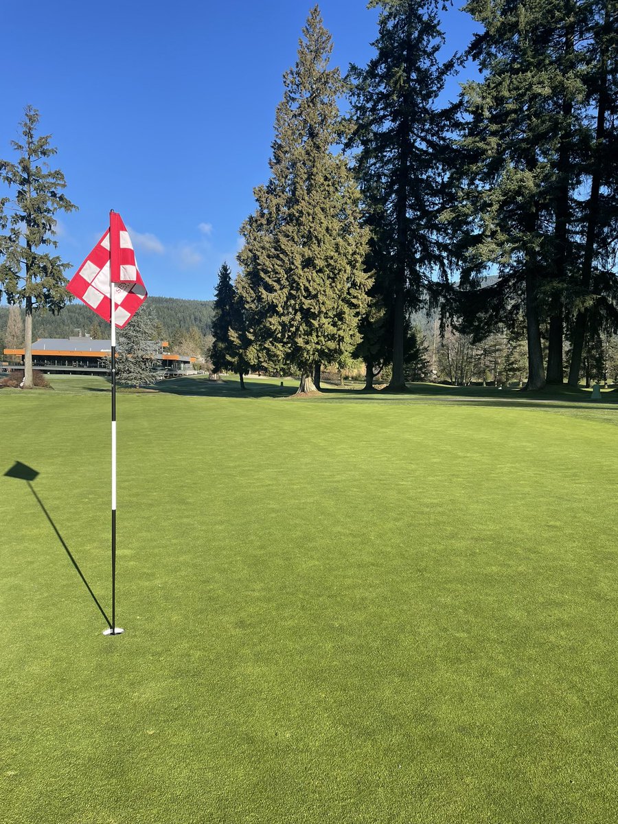 Jordan Collins tweet media