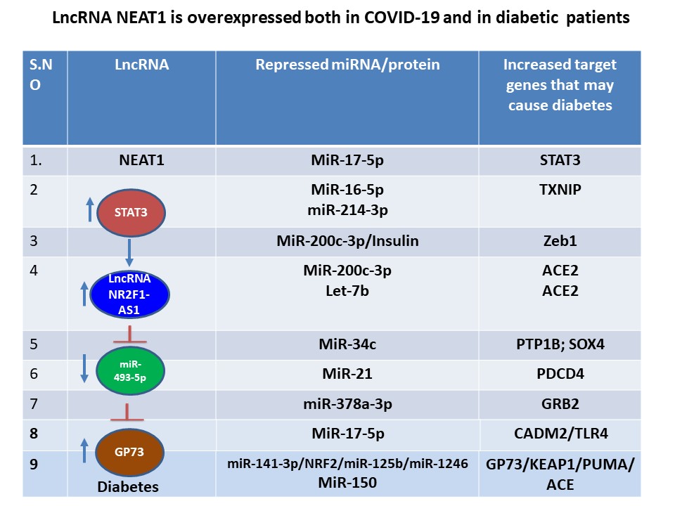 How does p53 activator prevent SARSCOV2 entry, pain & hyperglycemia?
@SanjayKalraDr1 
@AskDrShashank
@JeffreyRMillman
@merrinslab
@HuisingLab
@BennyScience
@KravetsVira
@Mike_Kalwat
@GeorgiaLab_USC
@Chriscgn_ @isletbiologylab
@IUSweetTweets
@ufdiabetes
@LinnemannLab
@BlumLabWisc