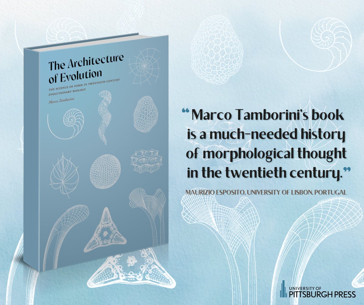 Script Arts & Humanities Books tweet media