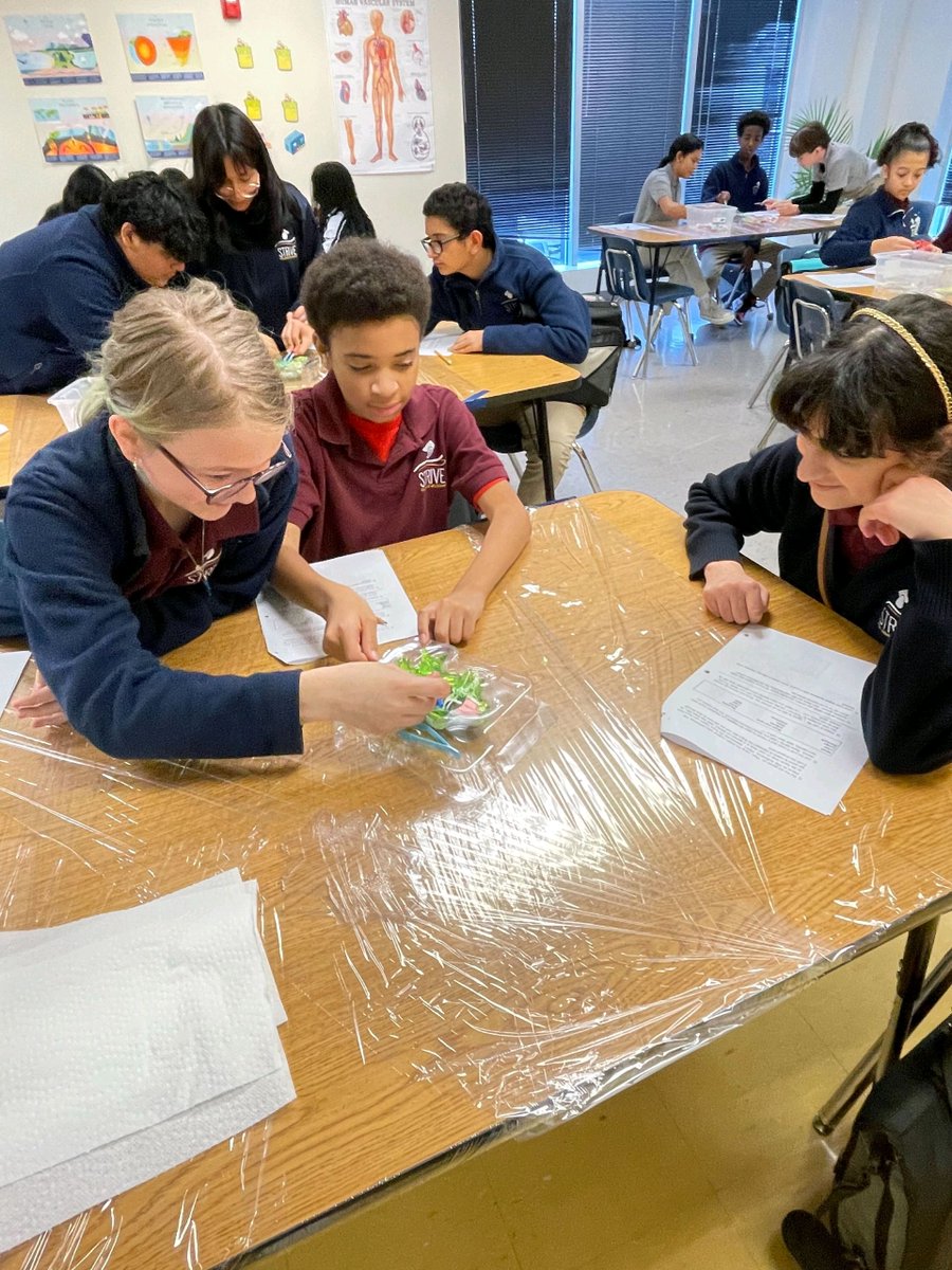 We are recruiting 6th - 8th grade scholars for the 2024-2025 school year, and we are inviting families to come and learn more about STRIVE. New Student Information Sessions will be held on the following dates from 5:30pm - 6:30pm:

March 7, 2024
April 11, 2024
May 9, 2024