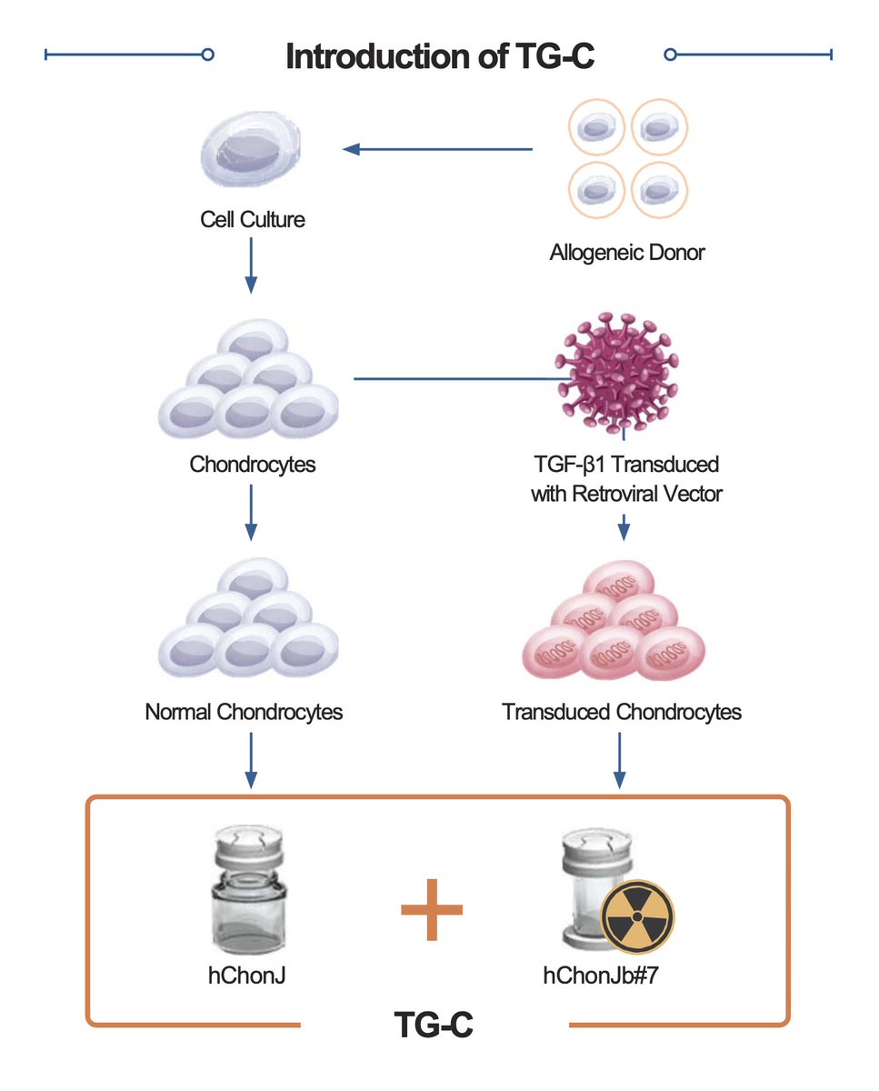 The latest gene 🧬 therapy to hit mainstream medicine 

This one might be a GAMECHANGER for arthritis 

Cartilage cells that are genetically engineered to express growth factors 

Injected into knee as treatment for osteoarthritis 💉 

Instead of getting just stem cells, their