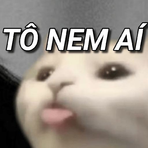 Kety_barbara's tweet photo. Quando alguém reclama que eu só vivo nos livros https://t.co/yZtHXJyBEG