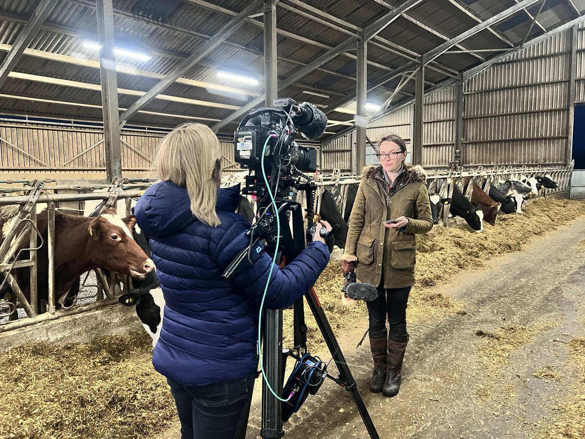 Abi Reader tweet media