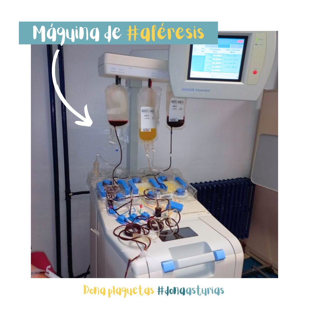 Sabemos que ya conoces la donación por #Aféresis 😌 ¿Y sabes que la caducidad de las #plaquetas es muy temprana? 😲 Por eso hace falta que todos ayudemos donando 💪✨

¡Pide ya tu cita!
 📲 985232426

¡Dale #like, comparte y difunde! #Donaplaquetas #Haztedonante #DonaVida #YoDono