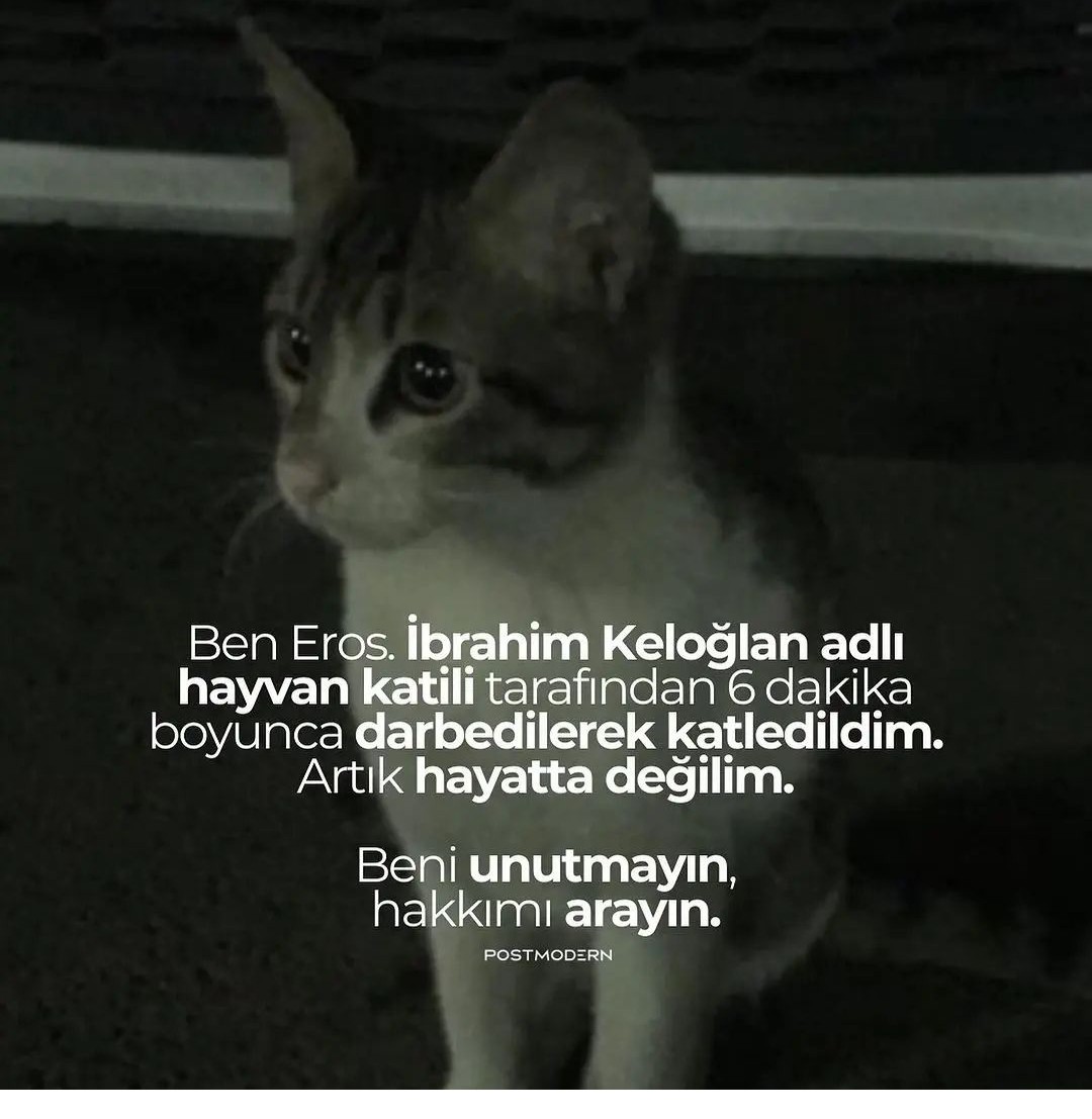 Bu ülke de katiller iyi hâl den serbest kalıyor..
#ibrahimkeloğlantutuklansin 
#ErosIcinAdalet  
Cinayetin iyi hâli mi olur.6 dakika boyunca bir canı bile isteye canavarca tekmeleyerek öldürmenin iyi hâli nedir...