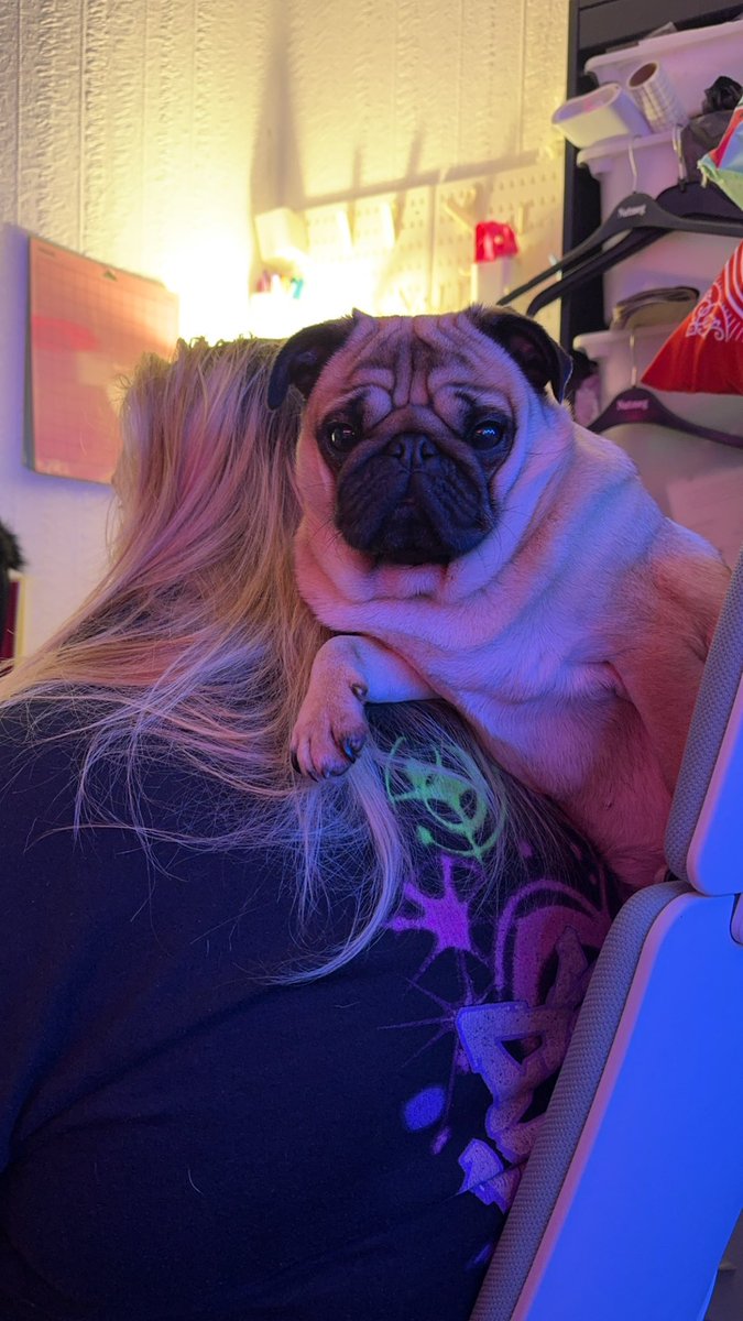 matthew while tweet media