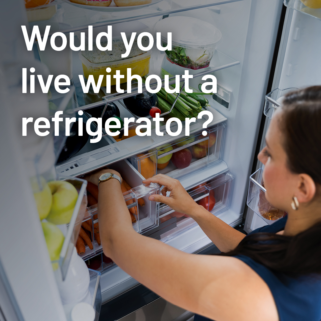 UPManitoba's tweet photo. Life without your refrigerator? The copper in its wiring keeps your food cold and fresh. Minerals really are everywhere!

Manitoba has its own copper deposits. Learn more about Manitoba's critical minerals and metals at https://t.co/AqZdb2RH9k

#MBMining #ManitobaBusiness #UpMB https://t.co/2cPZI1EAAf
