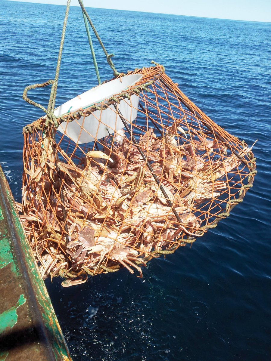March Mystery Photo Contest

When did the snow crab fishery begin in Eastern Canada?

Send in your answer to kjestican@thenavigatormagazine.com for a chance to win a one-year Navigator subscription.

Deadline: February 20, 2024