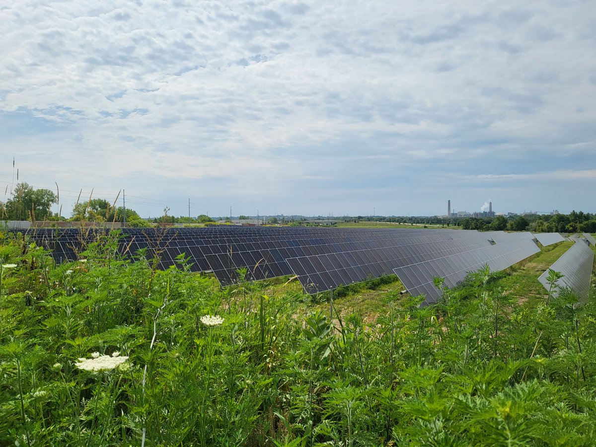 Our first community solar project in Iowa is generating clean energy! This solar project in Iowa will provide bill credits for subscribers for the next 20 years. Thanks to area residents and business owners for your support in making this project happen! bit.ly/4bD8iqM