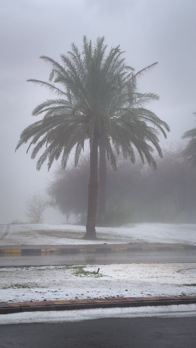 astro_Alq's tweet photo. اهل العين دعونا نأرشف الحالة التاريخية بأفضل التقاطه لديكم اسفل هذه التغريدة ❄️ https://t.co/PXmpev90QG