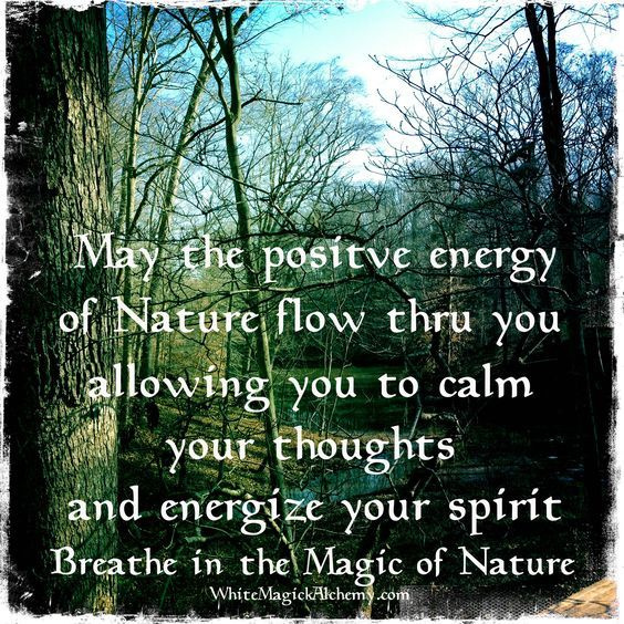 #magicofnature #breathein #positiveenergy #ancestral #vibehigh #mamagaia #pachamamalove #connectwithnature #greenwitch #deepnatureconnection #awaken #earthwarriors #freeyourspirit #higherconsciousness #lightworker #wearenature #herbalism #magick #witchcraft #pagan #earthmagick