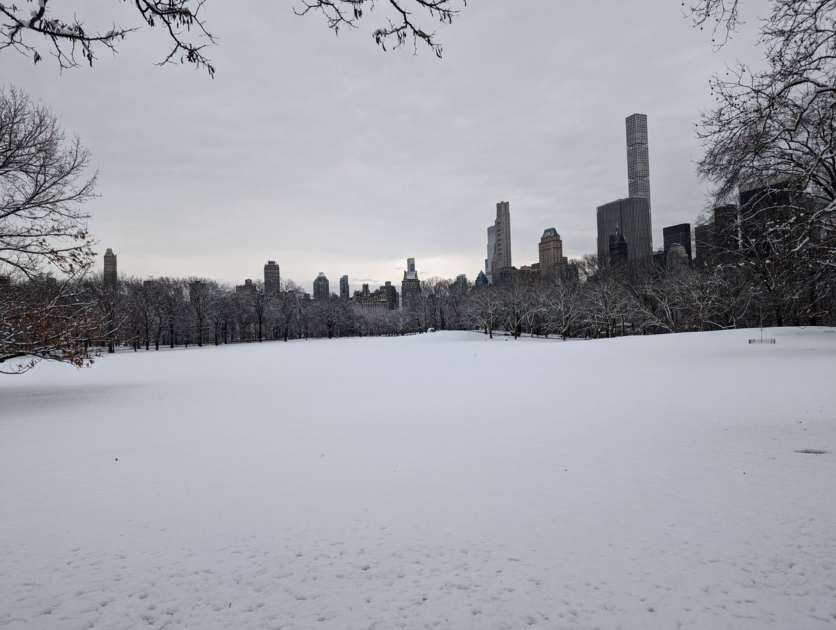 Untouched snow at Sheep Meadow