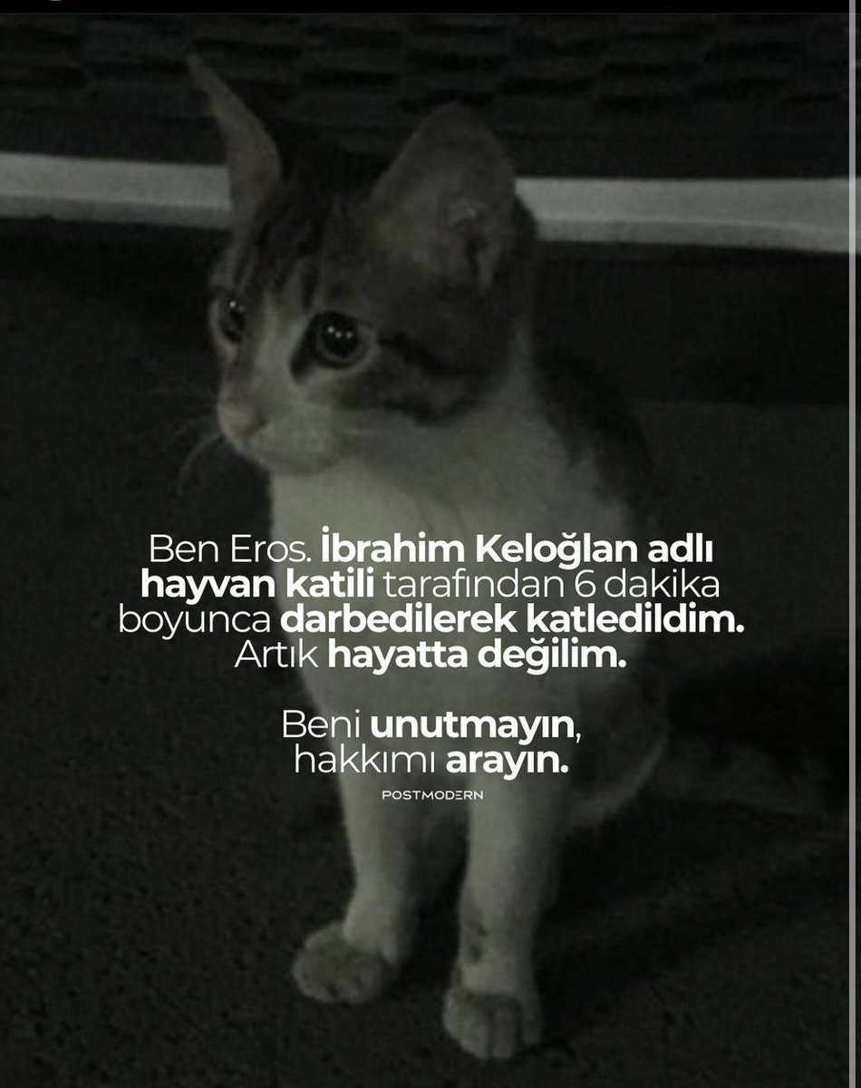 esoesmi's tweet photo. #ibrahimkeloglantutuklansın https://t.co/g7jEKfxcoJ