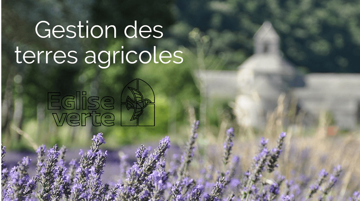 A l'écrit ou en vidéo, découvrez-en plus sur la façon dont les communautés chrétiennes peuvent gérer leur foncier agricole de façon vertueuse pour les  #agriculteurs et la #biodiversité ! egliseverte.org/actualites/com…