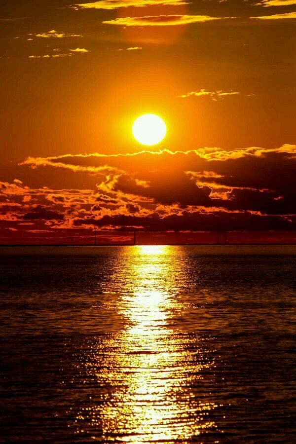 Good evening ! 
#photos #photography #evening #sunset