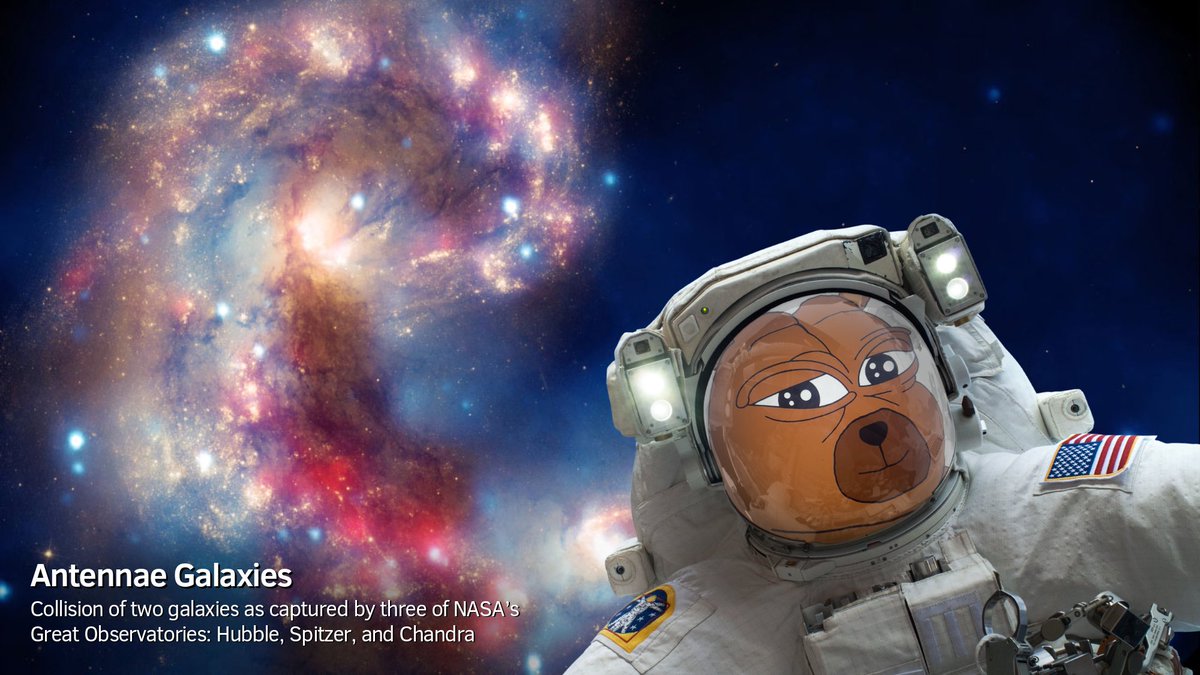 $BOBO on a spacemission🐻🚀