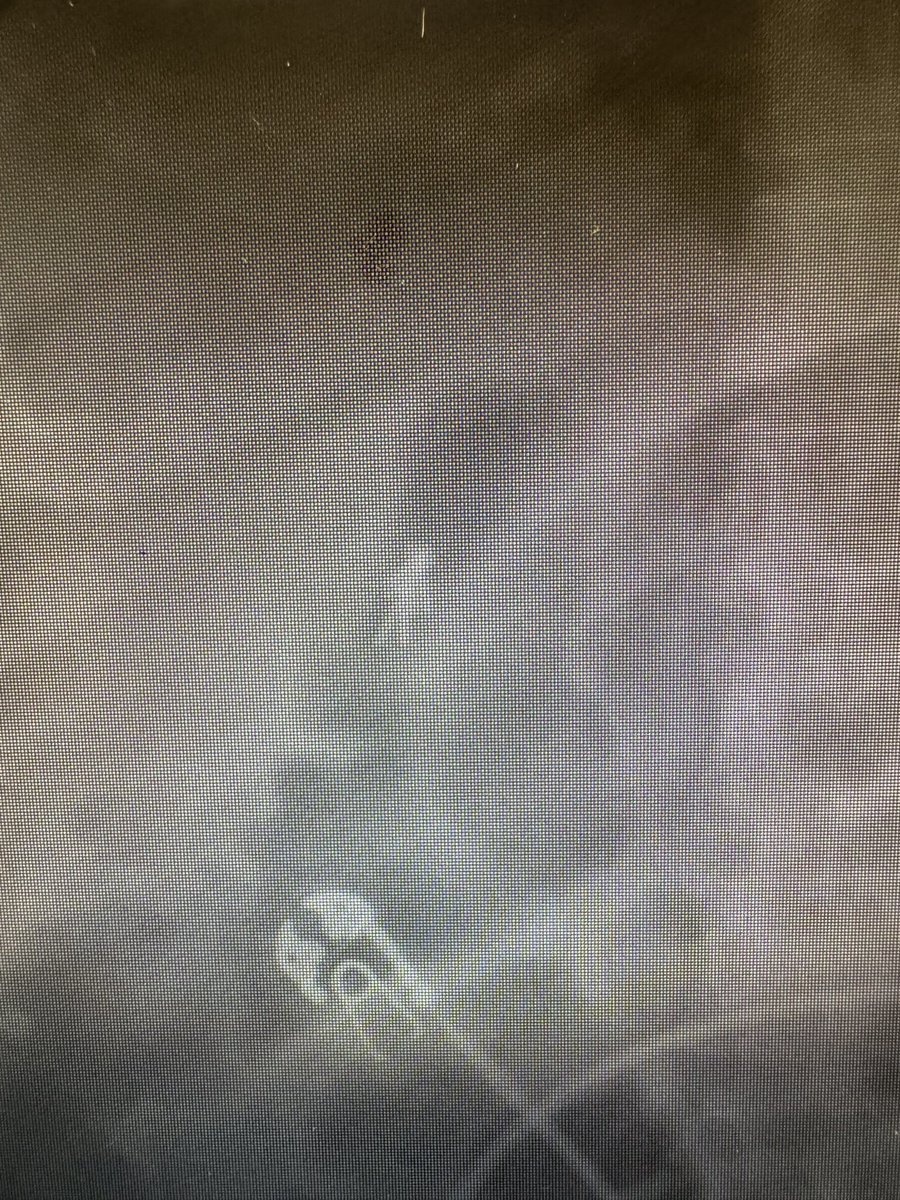 Shad Ruby tweet media