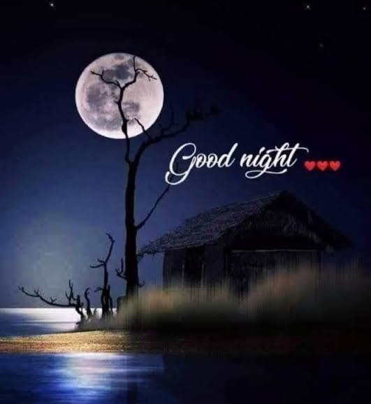Muhamma94998834's tweet photo. Assalam O Aliakum 
Good Night Everyone
Have A Sweet Dreams😌
#رفح_تحت_القصف @Ali_MuhammadPTI https://t.co/MHvjsbPKjO