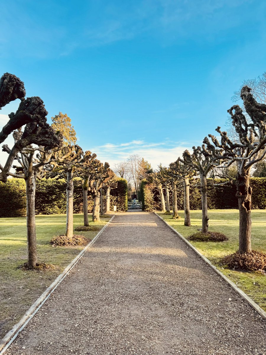 Kelly Sturt tweet media