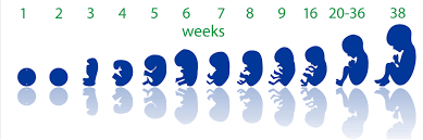 Radio2000_ZA's tweet photo. #lifeloveandall @mapasekamokwele  
national #pregnancyweek with Dr. @siviwemila 
#Radio2000 #MapasekaMokwele https://t.co/vmYPzgAk5T