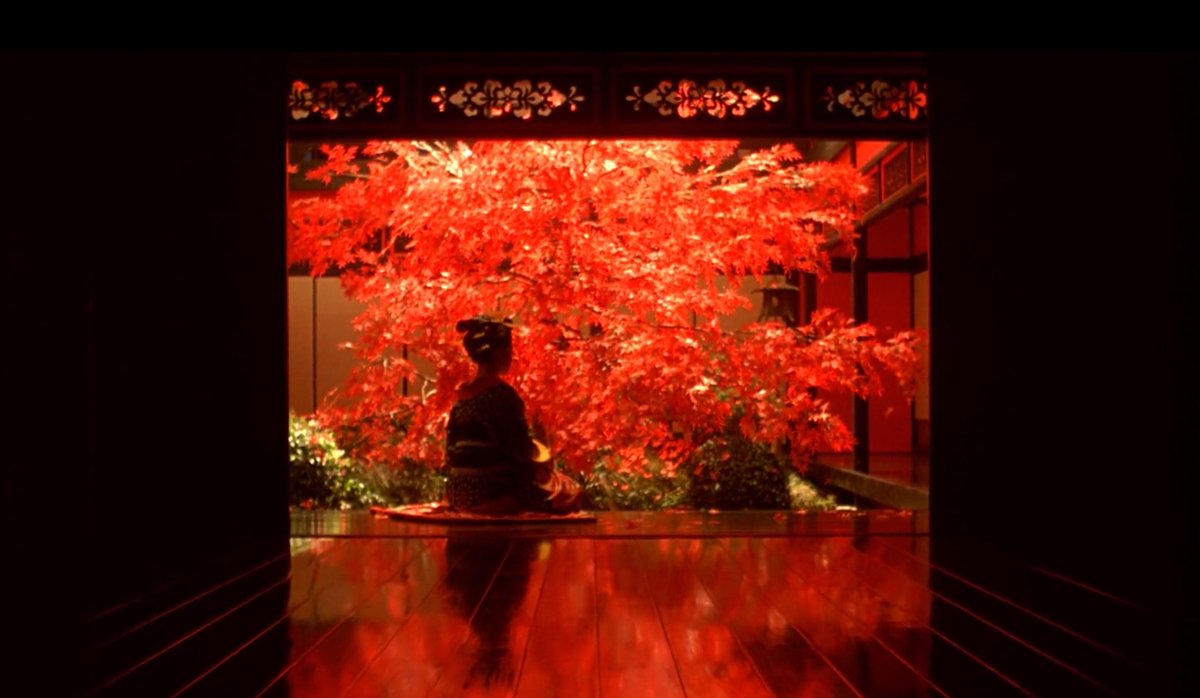 太傅 —🧧 tweet media