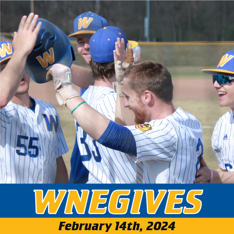 WNE Baseball tweet media