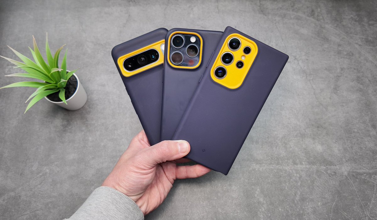 Paul Rankin tweet media