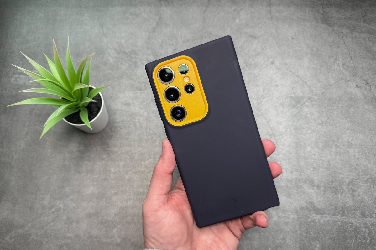 Paul Rankin tweet media