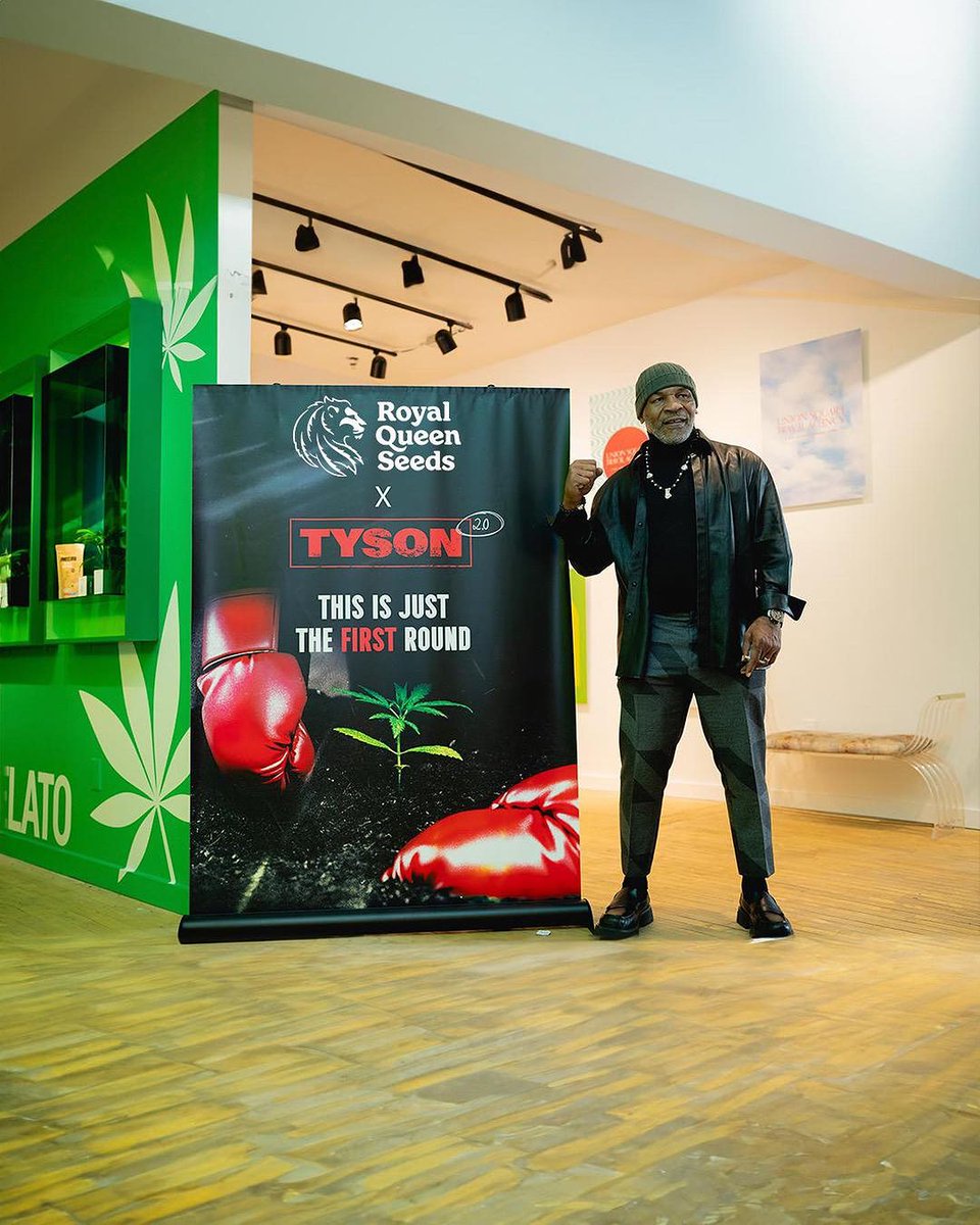 royalqueenseeds's tweet photo. The knockout seeds collection is now available! Ready to #GrowLikeMike? 🌱🥊 #RQSxTyson20 

https://t.co/dlnmJ8RNNS https://t.co/W6VpQC3fNo