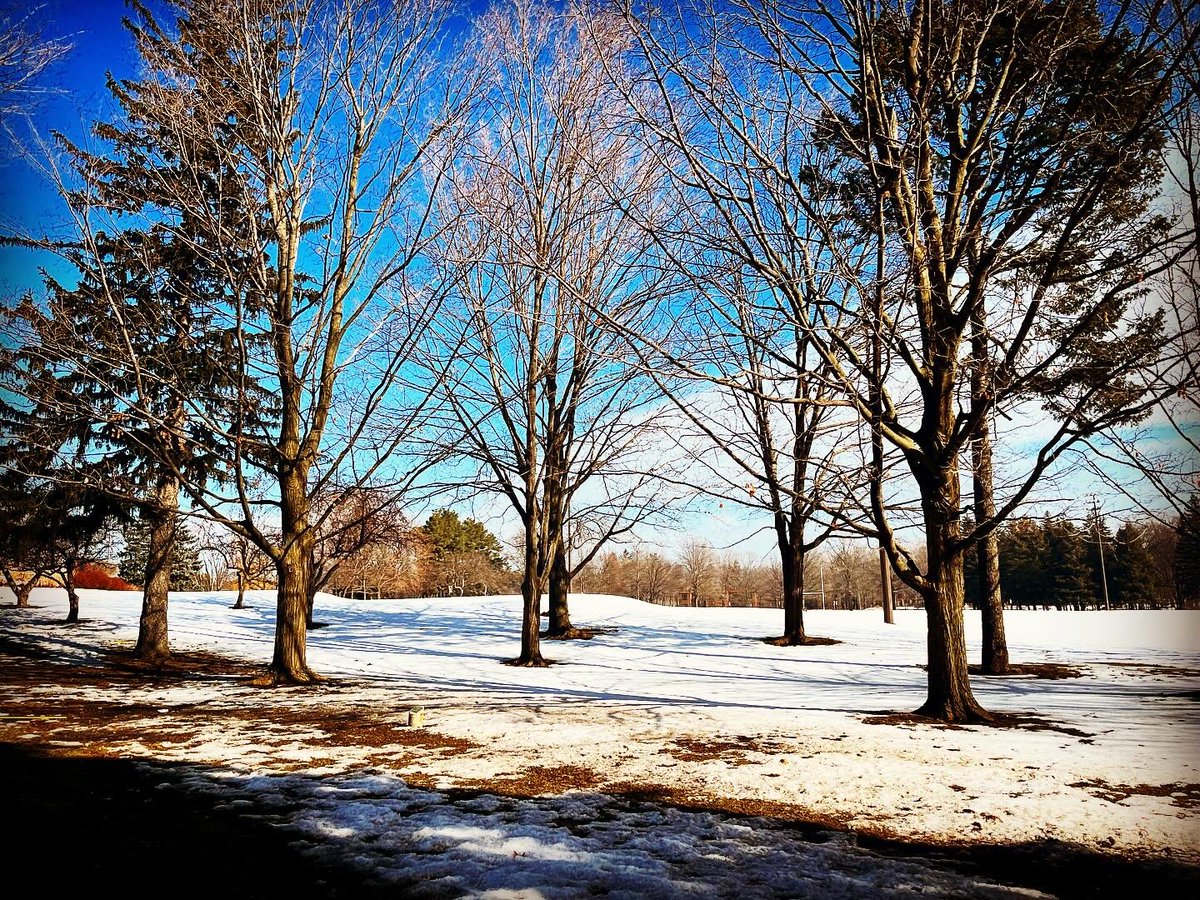 tebovision's tweet photo. #RunningTrails #TrailRunning #NatureRun #RunInspiration #HealthyLifestyle #FitnessMotivation #RunningGoals #52AndFit #FitnessJourney #ActiveLifestyle #FitOver50 #OutdoorFitness #RunningCommunity #FitnessAdventure #NatureLover #RunEverywhere https://t.co/aok6UBapa5