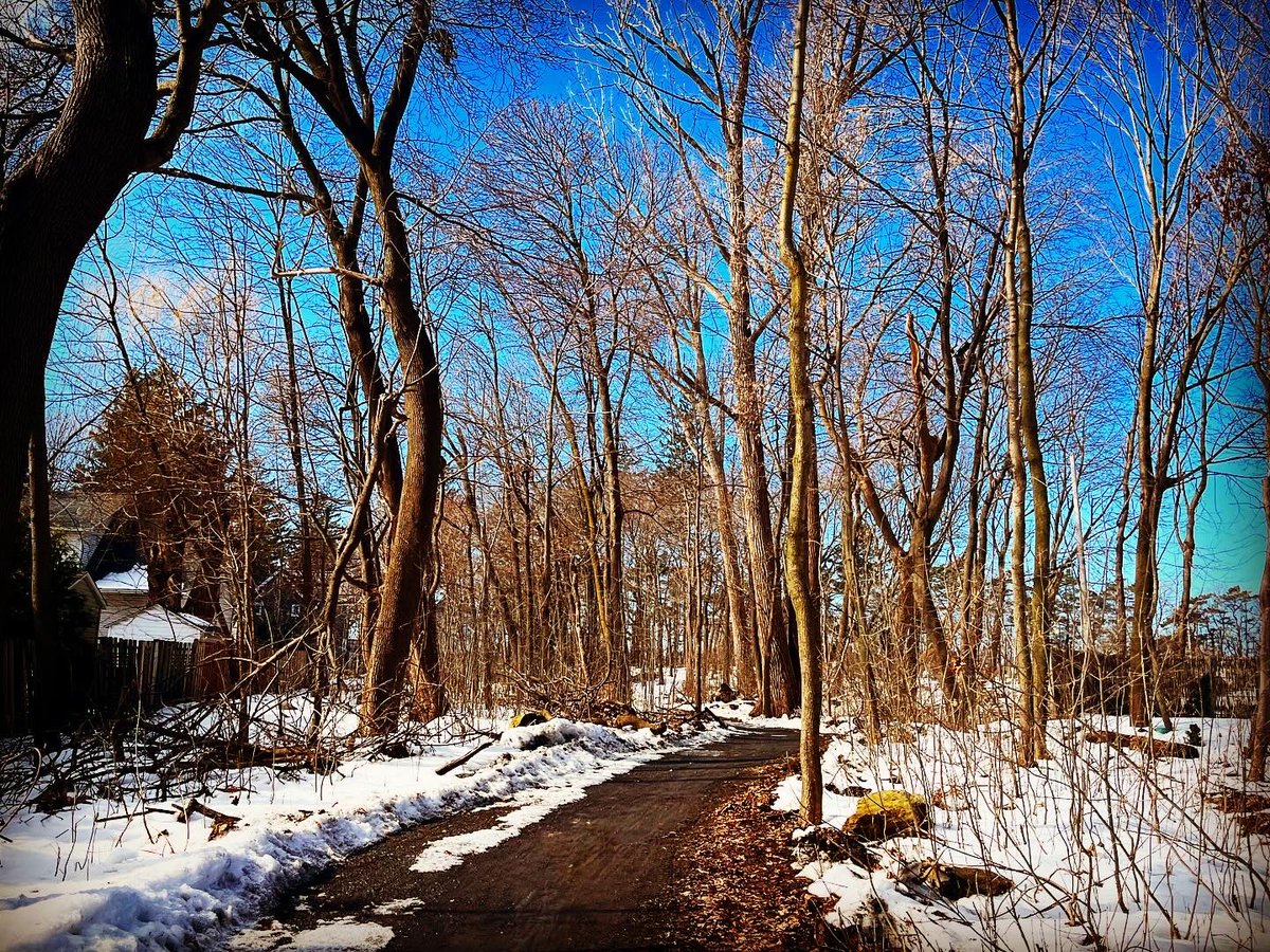tebovision's tweet photo. #RunningTrails #TrailRunning #NatureRun #RunInspiration #HealthyLifestyle #FitnessMotivation #RunningGoals #52AndFit #FitnessJourney #ActiveLifestyle #FitOver50 #OutdoorFitness #RunningCommunity #FitnessAdventure #NatureLover #RunEverywhere https://t.co/aok6UBapa5