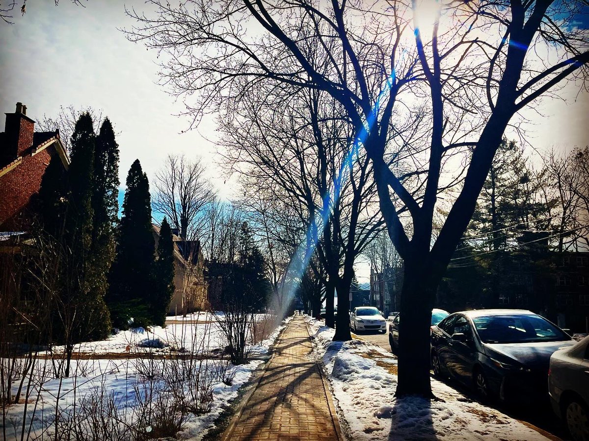 tebovision's tweet photo. #RunningTrails #TrailRunning #NatureRun #RunInspiration #HealthyLifestyle #FitnessMotivation #RunningGoals #52AndFit #FitnessJourney #ActiveLifestyle #FitOver50 #OutdoorFitness #RunningCommunity #FitnessAdventure #NatureLover #RunEverywhere https://t.co/aok6UBapa5