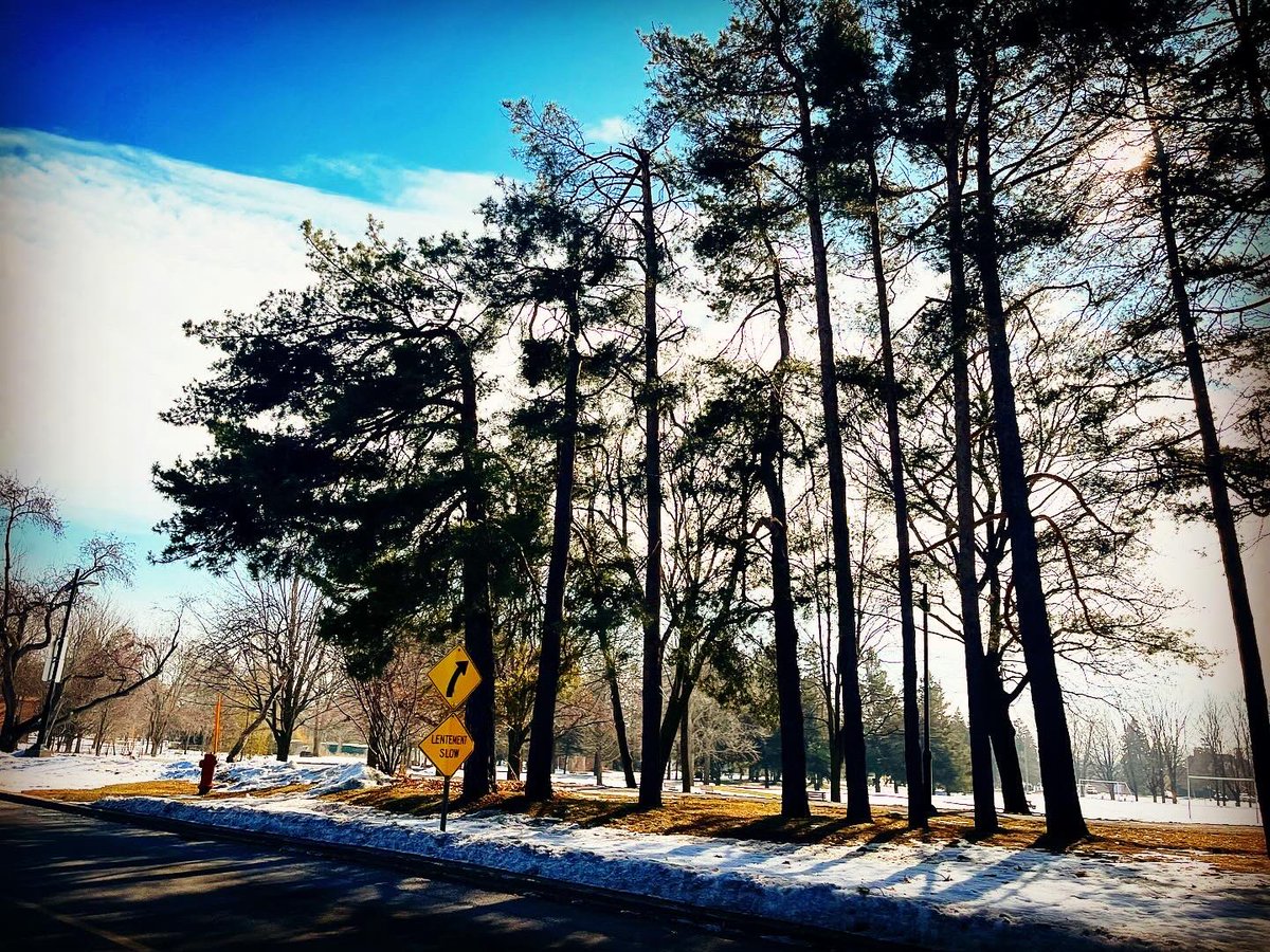 tebovision's tweet photo. #RunningTrails #TrailRunning #NatureRun #RunInspiration #HealthyLifestyle #FitnessMotivation #RunningGoals #52AndFit #FitnessJourney #ActiveLifestyle #FitOver50 #OutdoorFitness #RunningCommunity #FitnessAdventure #NatureLover #RunEverywhere https://t.co/aok6UBapa5