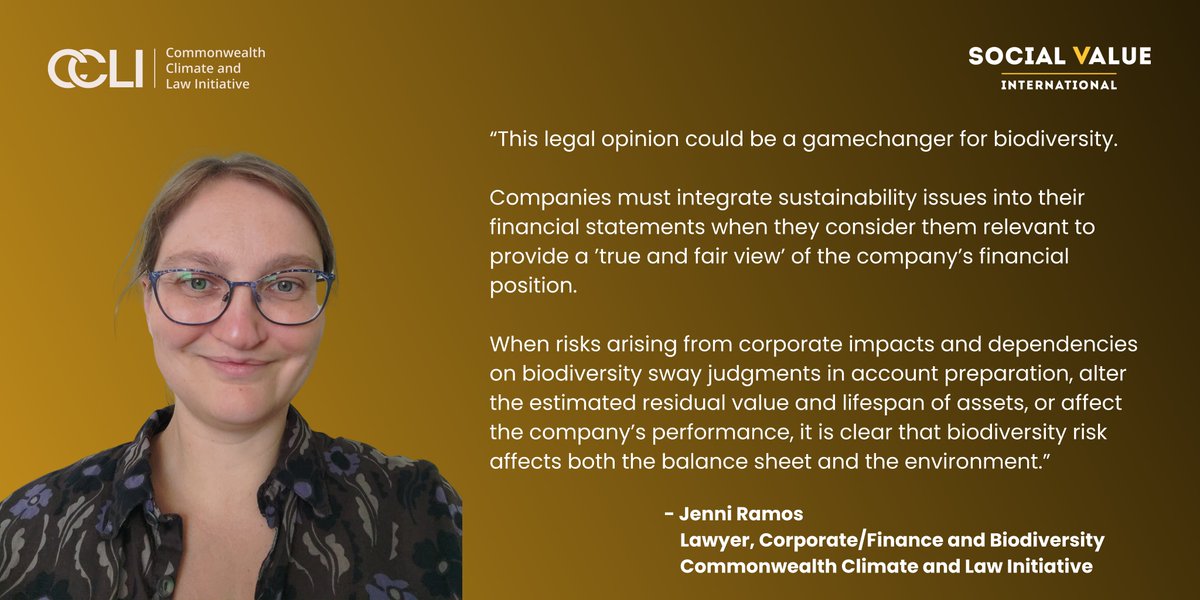 🌱 #Biodiversity isn’t just about the environment; it impacts the balance sheet. “Companies must integrate sustainability issues into their #financial #statements when they consider them relevant to provide a ‘true and fair view.’' Find out more 👉socialvalueint.org/true-and-fair