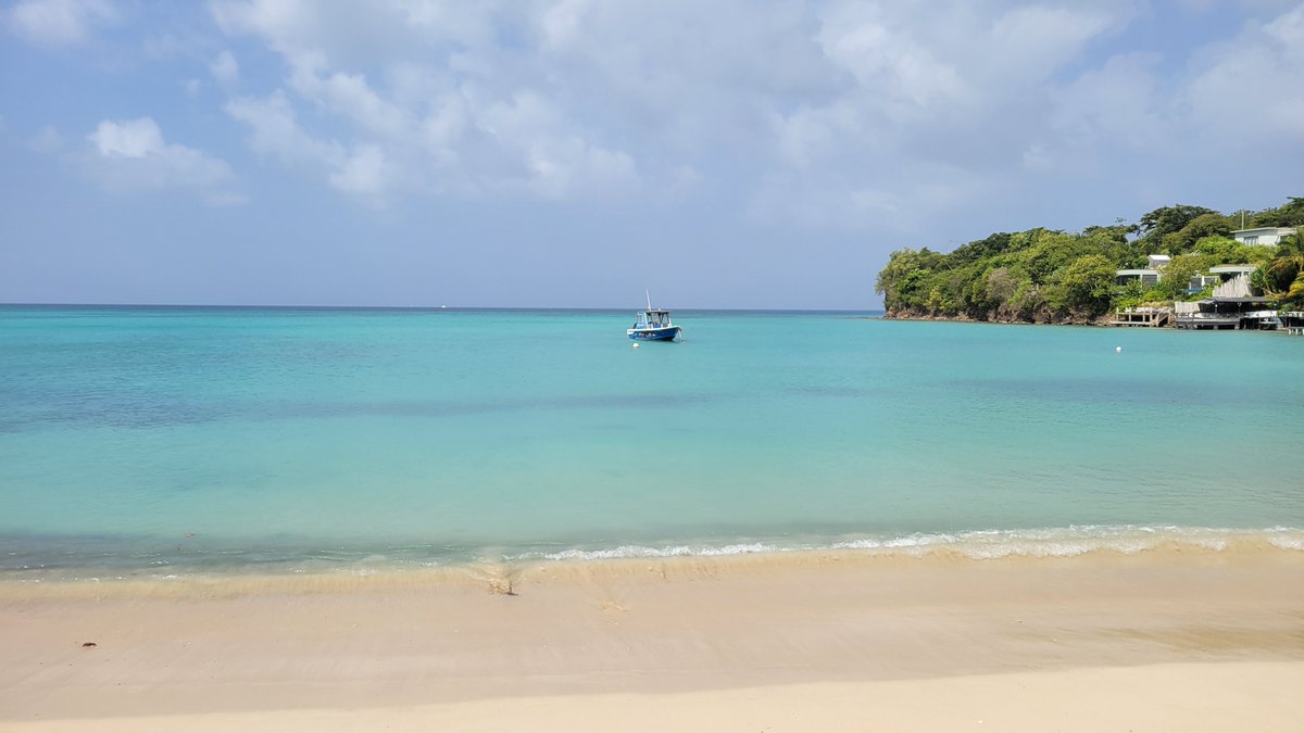 TeamVicarious's tweet photo. Another first for the Team was St. George's, Grenada. We created our own excursion and took a cab to La Plywood Beach Bar Cafe on BBC Beach (Morne Rouge Beach.) The best dive bar in Grenada!  #grenada #plywoodbbc https://t.co/4CJnO7zUO1