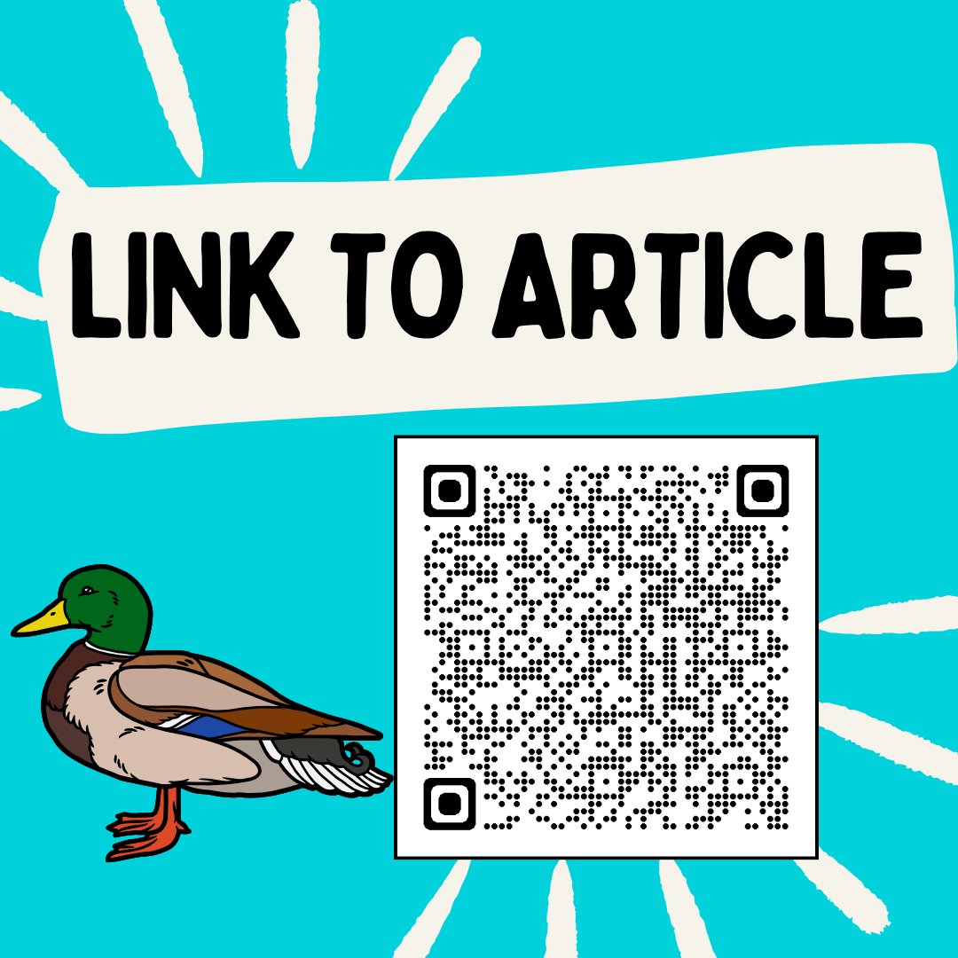 How long have ducks been waddling alongside of humans? The answer may surprise you! 🦆
Dr. Philip Lavretsky (ROADS Mentor) was interviewed by the Texas Standard about the UTEP Centennial Museum's new exhibit-A Waddle Through Time: Ducks, People, &amp; The Conservation Odyssey