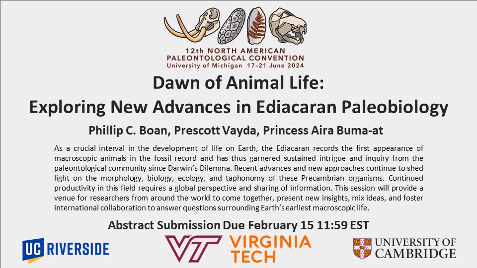 Looking for a fun trip this summer? Why not grab a lemonade, kick back, and enjoy some Ediacaran talks on a perfect Michigander day. Remember to submit to our NAPC session: sites.lsa.umich.edu/napc2024/
