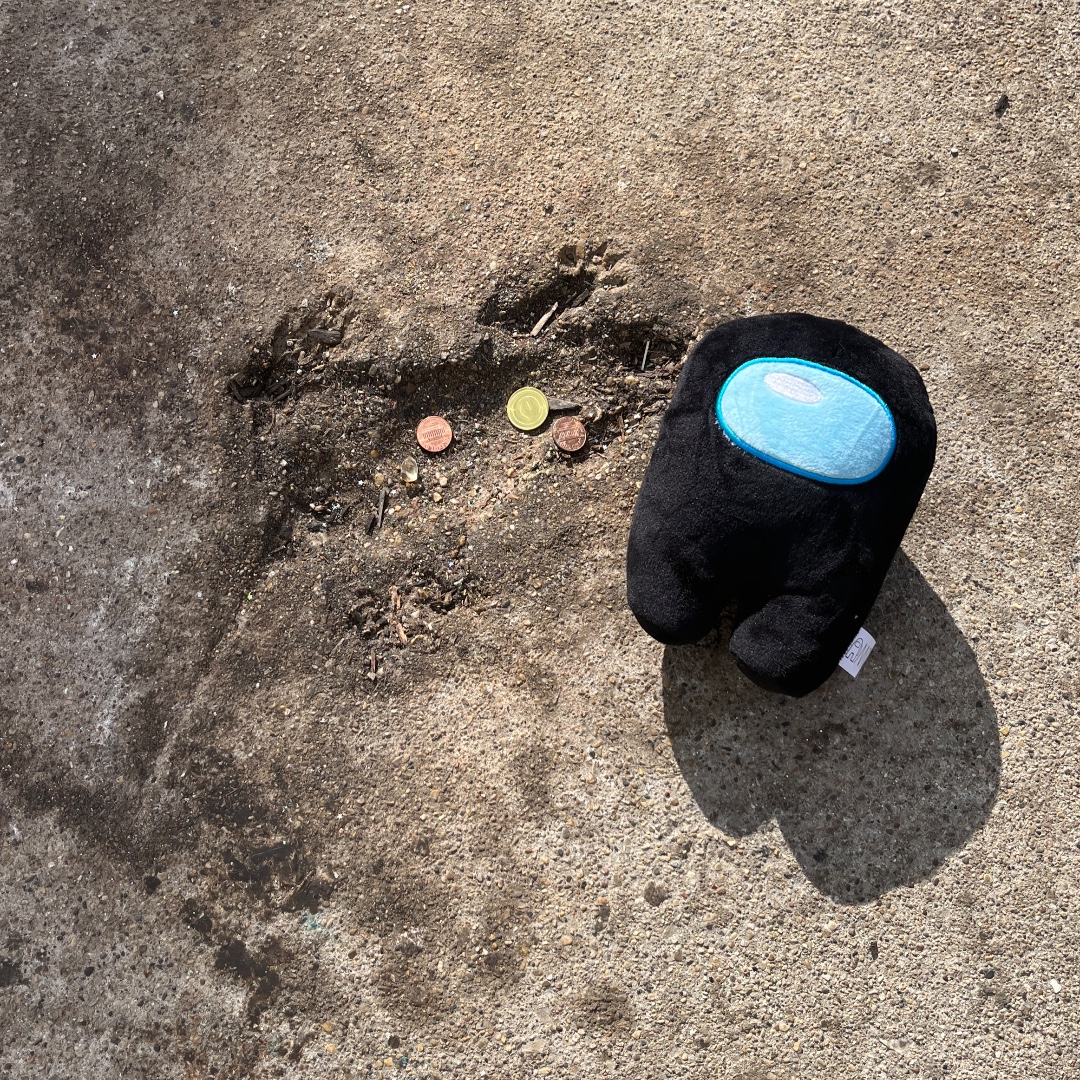 ShopAmongUs's tweet photo. the Impostor has been ejected to the Chicago rat hole. https://t.co/RNveKqEzhP https://t.co/8jHmjZpYWk