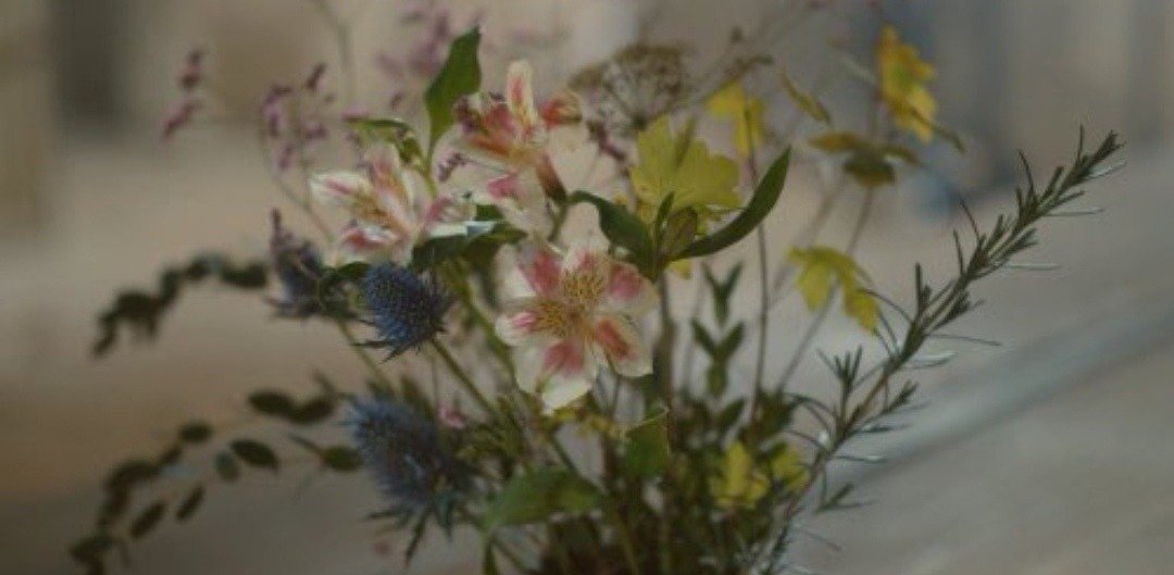 TheCinesthetic's tweet image. Portrait of a Lady on Fire (2019), dir. Céline Sciamma