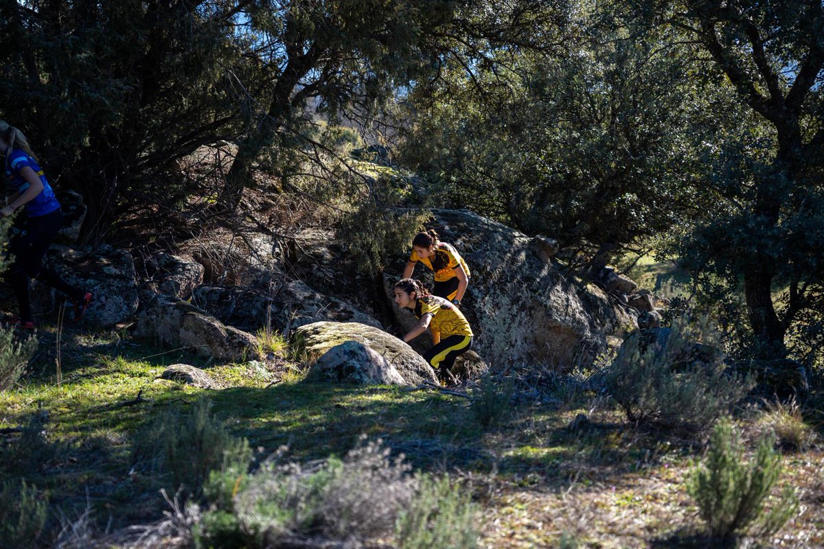 Maximus Winter O-Camp ◪ tweet media