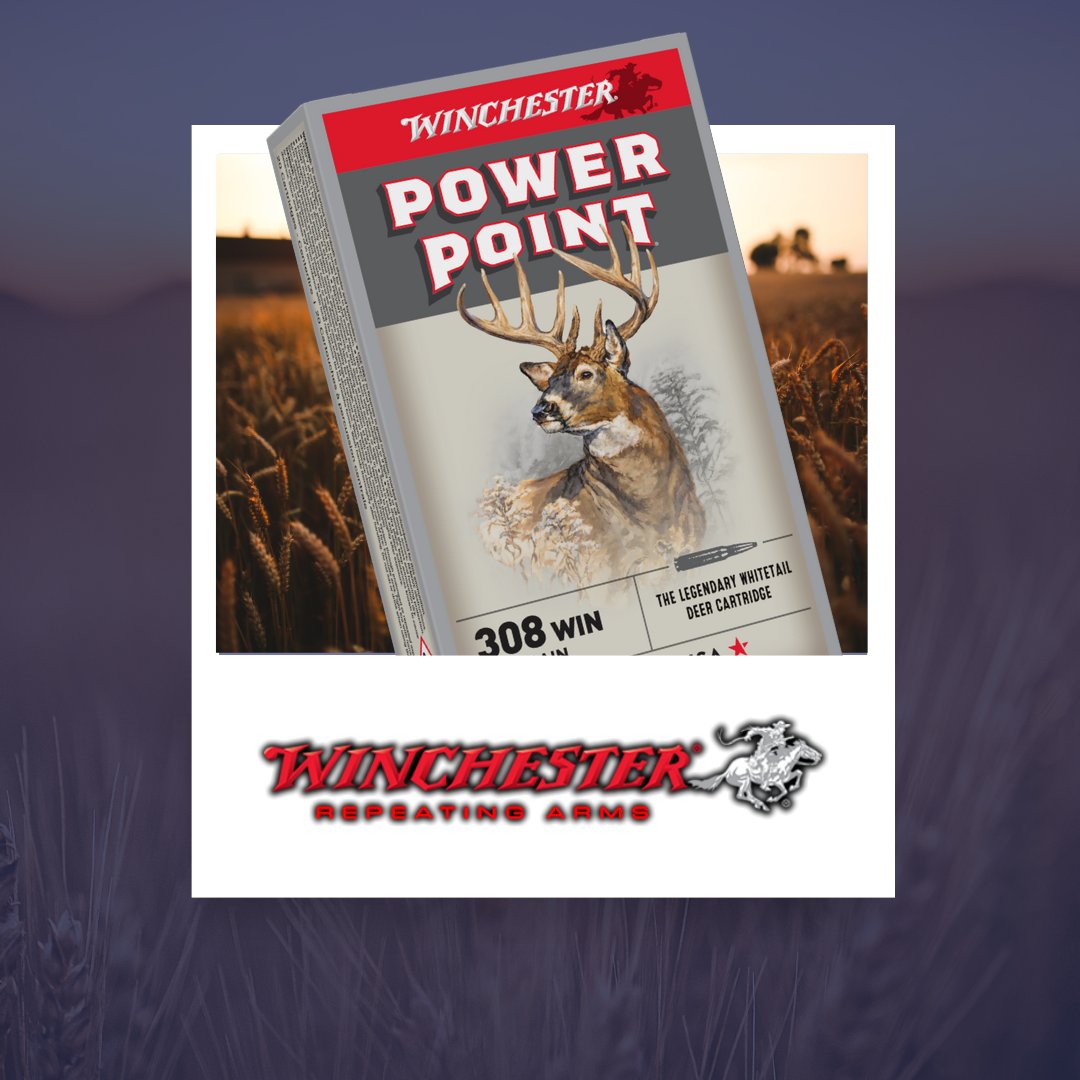 BuyaBullet_Corp's tweet photo. BuyaBullet's 120+ manufacturers mean endless ammo possibilities. Explore exotic calibers, rare finds, and top-shelf performance!

#hunting #firearms #firearmstraining #firearmsdaily  #ammunition #shootingrange  #AmmoDrop https://t.co/kg5V3qlQ0v