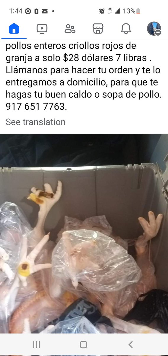 missmarty70's tweet photo. Wow, whole chickens for sale, just call this number. #JacksonHeights lawless. Where are @NYCMayor city agencies like @helloDCWP and @nycHealthy ? With #OpenRestaurants, rules galore. But in #Queens just look the other way? https://t.co/8SVfZeNbnz