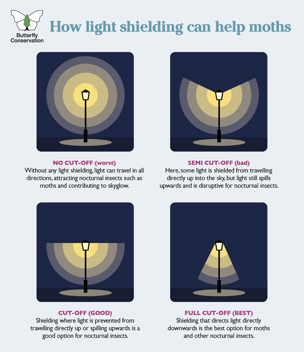 Unshielded outdoor fixtures allow light to be emitted in multiple directions, contributing to light pollution 💡🦋 Here's how different types of shielding can help to redirect artificial light away from our #DarkSkies 🌠 Download our free guide 👉 butrfli.es/494mRSj